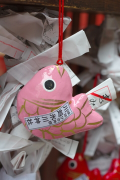 しずくpink　愛鯛みくじ