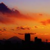 オレンジの河♪。.:＊・゜