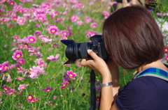 僕の大好きな君と君の大好きなふたりの想い出の花