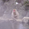 ぬくもり♬*.+゜
