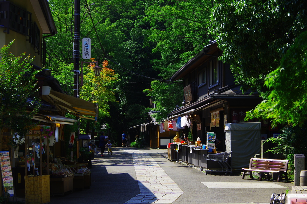 ゲゲゲの街を・・・