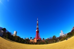 しずくBlue　feeling great !!!