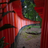 もうひとつの顔