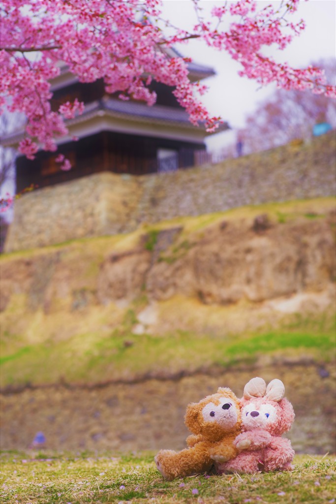 君と眺めた心ときめく〝はる〟☆。.:＊・゜