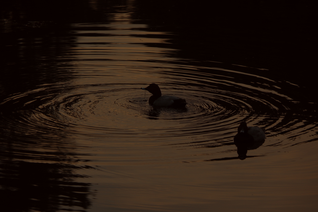 君のそばで・・・