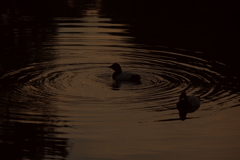 君のそばで・・・