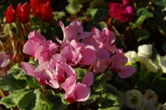 やさしい気持ちで