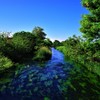 川は流るる。碧き大空を吸い込むように・・・