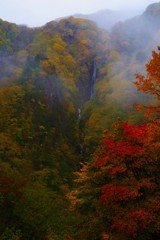 霧につつまれる秋～八滝～