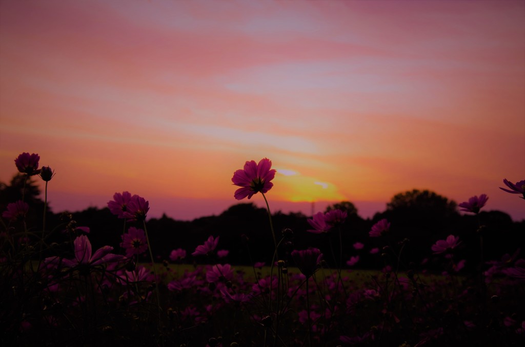 抱きしめた時の空の色～茜色～