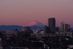 しずくpink　恋色富士山.•*¨*•.¸¸♬