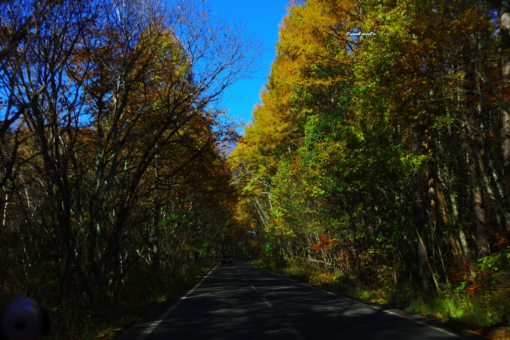 late autumn・車窓より