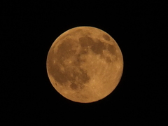 今宵　あなたと　見上げる　blue　moon♡