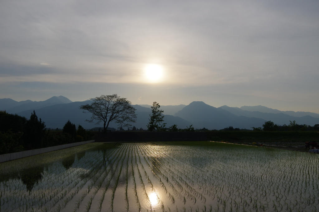 初夏の安曇野・田園の夕暮れ