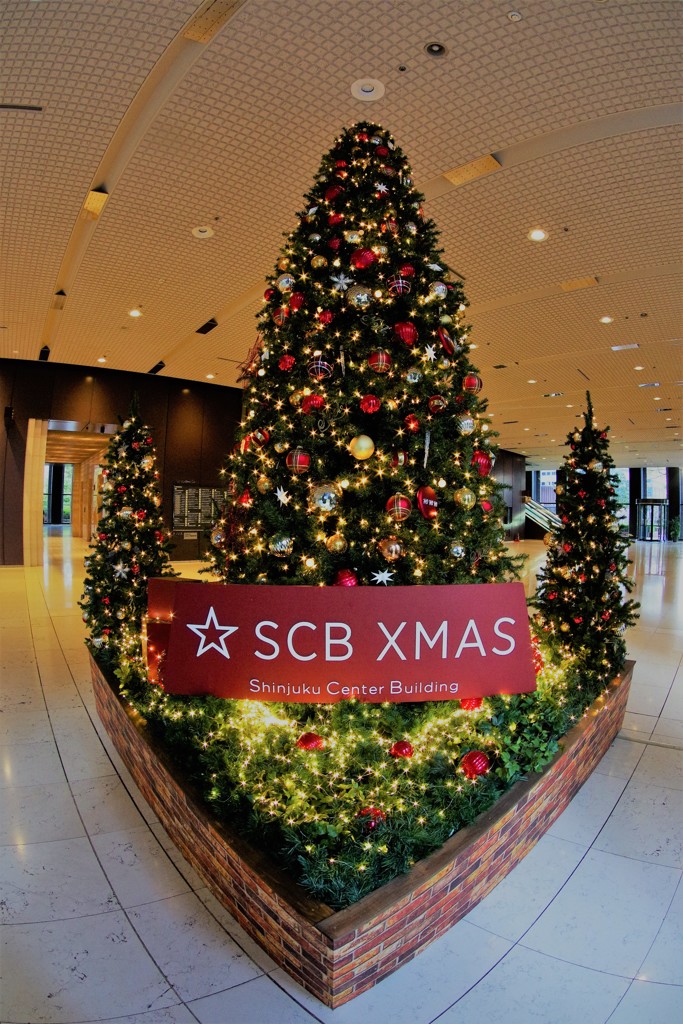 SCB　Xmas，゜．：。＋゜