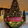 SCB　Xmas，゜．：。＋゜