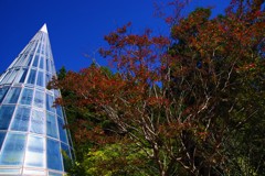 しずくBlue～奧信濃の秋～