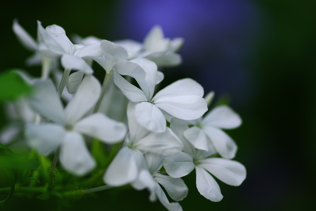 Please accept my condolences