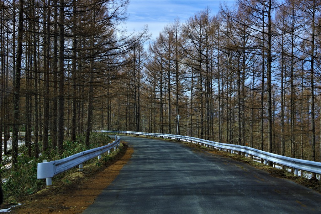 僕はきっと旅に出る～♬