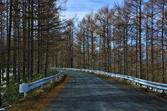 僕はきっと旅に出る～♬