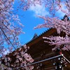 鬼が笑う　君も笑う♬。＊