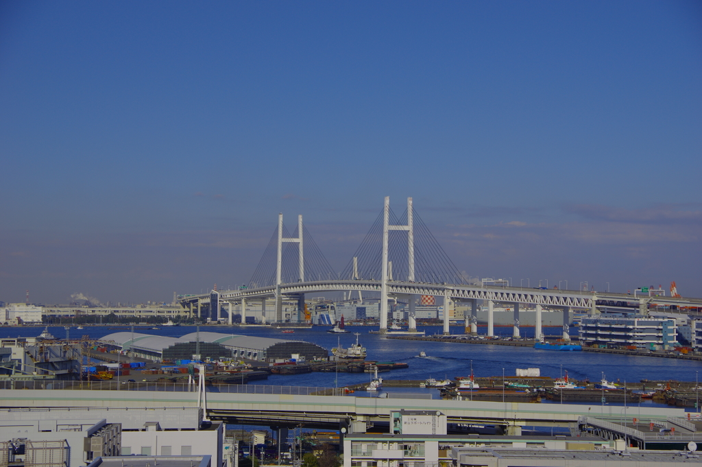 あれがあなたの好きな場所～♫港の見える丘公園