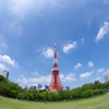 碧空を見上げよう