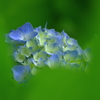 しずくblue　いつもよりひかえめに