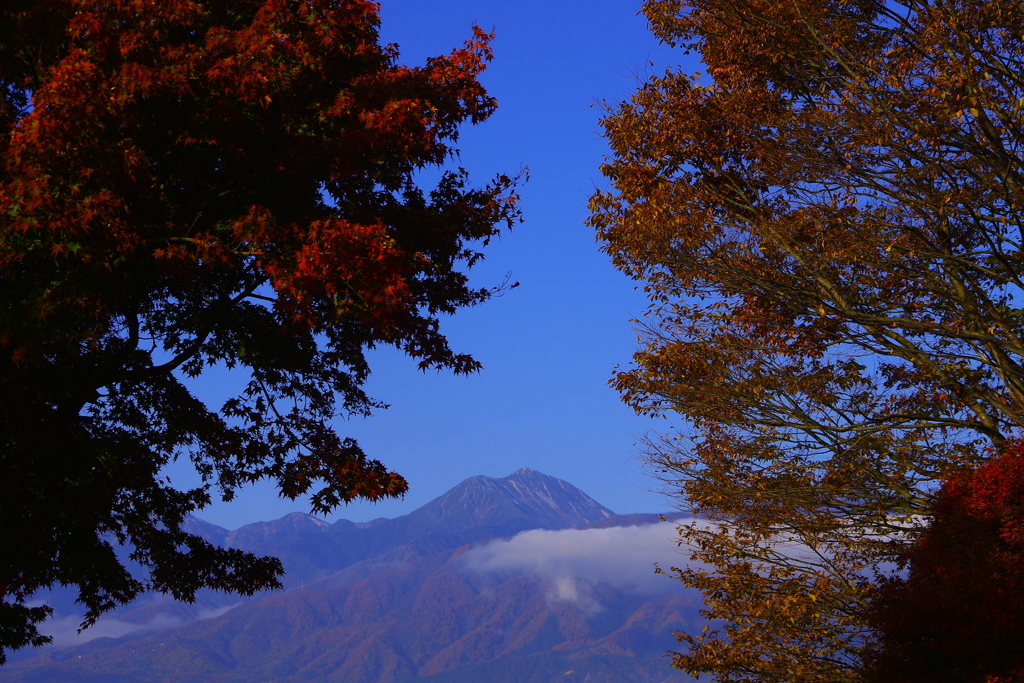 紅き葉の窓辺より