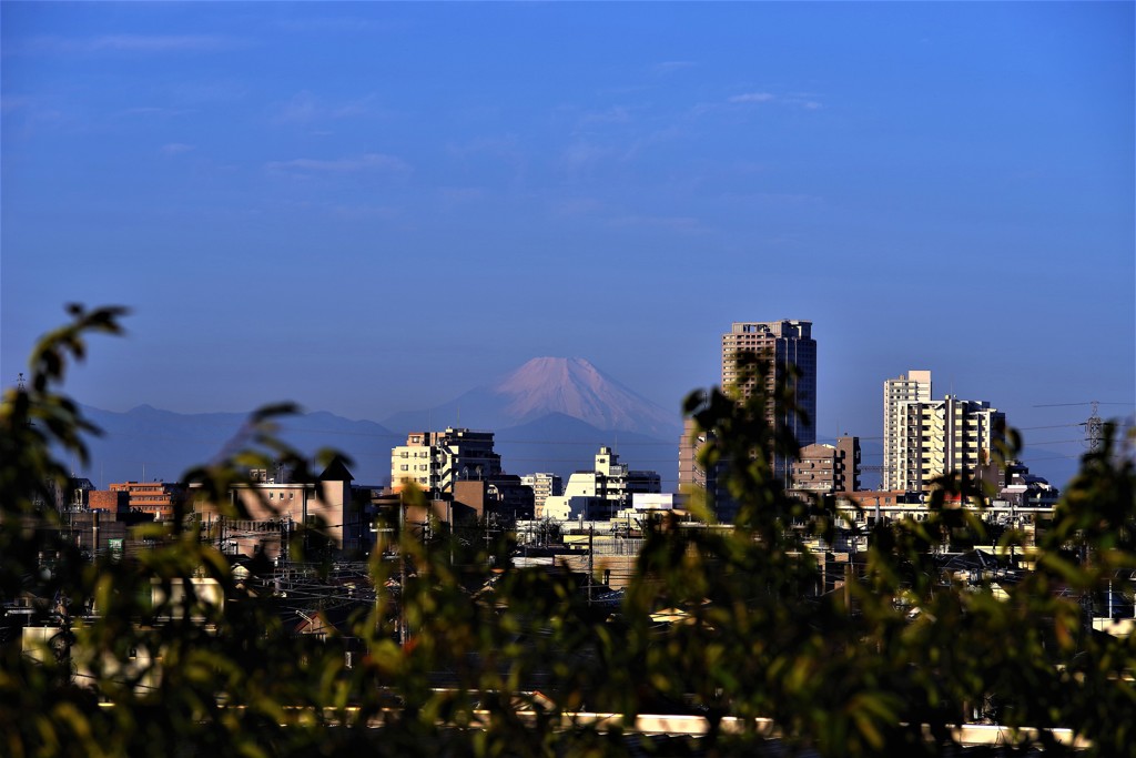 雪化粧しちゃったね！