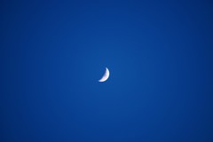 Crescent Moon♪。.:＊・゜