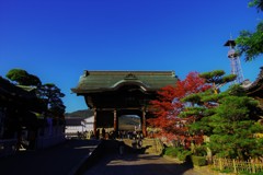 碧空にひかれて。。。善光寺参り