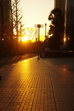 おかえり♫