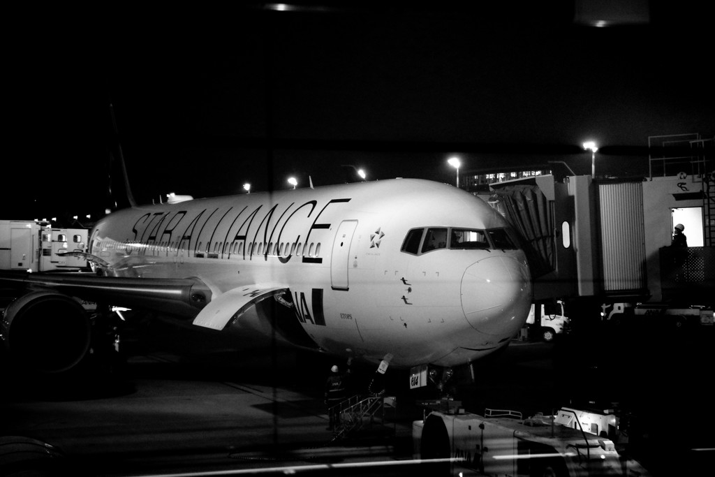 STAR　ALLIANCE☆☆☆☆☆