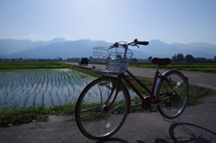 相棒は真っ赤な自転車