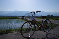 相棒は真っ赤な自転車