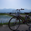 相棒は真っ赤な自転車