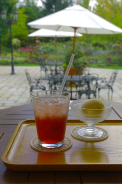 お気に入りのCafeで