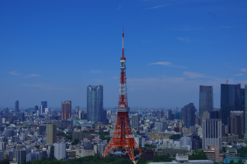 しずくblueの碧空～晴れ女power全開!!!