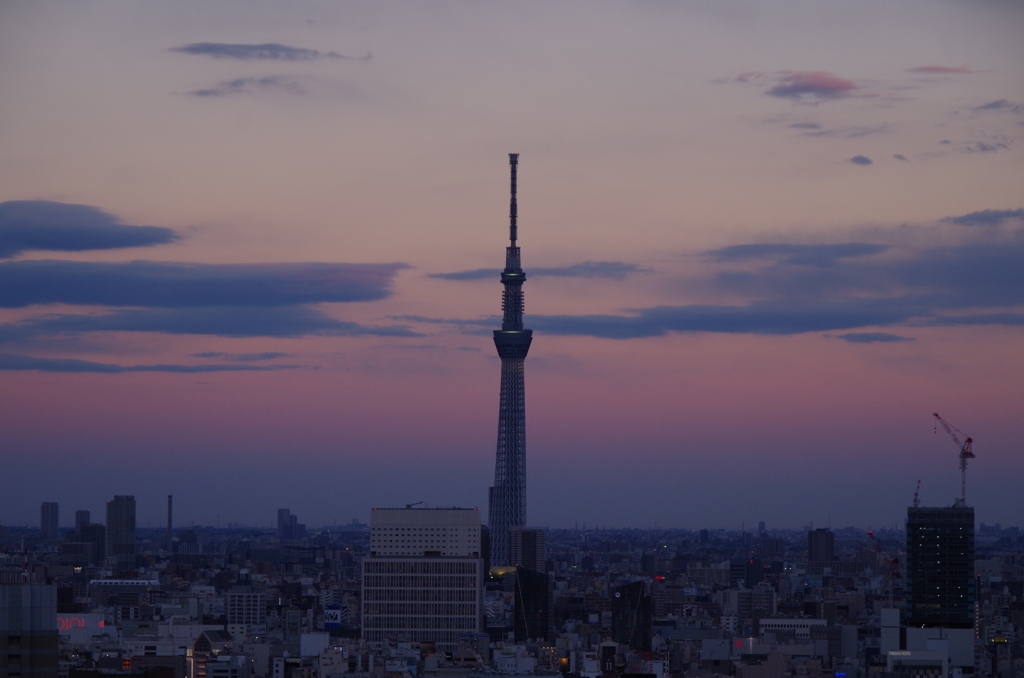 しずくpink&Blue　穏やかな一日の終わりに・・・