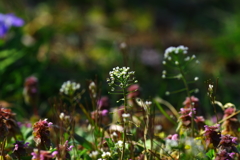 小さなわたしを見つけて♬
