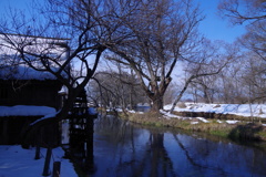 しずくblueと雪綿帽子の水車小屋