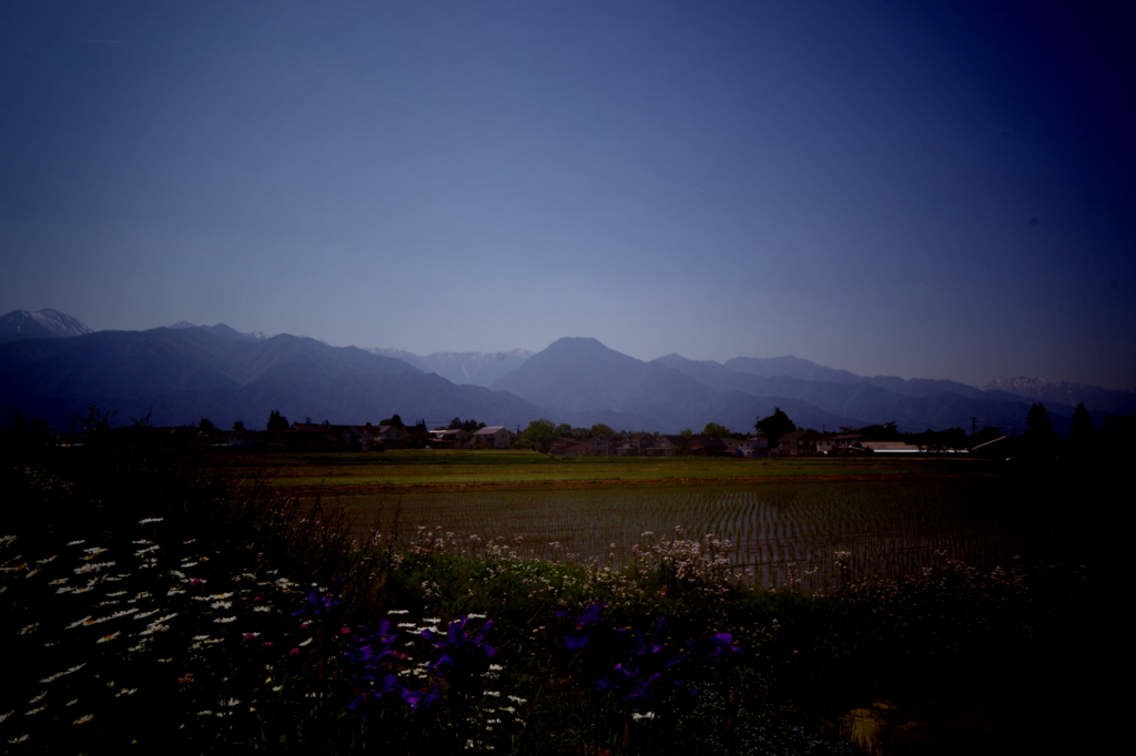 安曇野・初夏の想ひ出　花咲く野辺を歩けば
