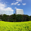 春～はる～spring♫