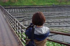 君と過ごす　わさび田の秋