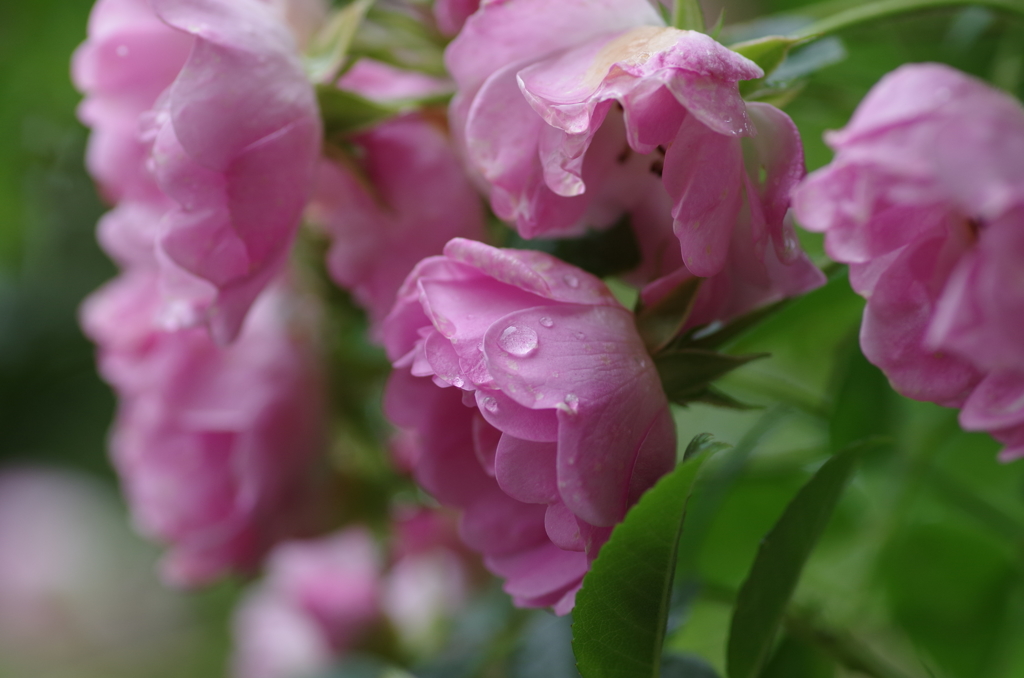 想い出は胸に秘めたまま・・・