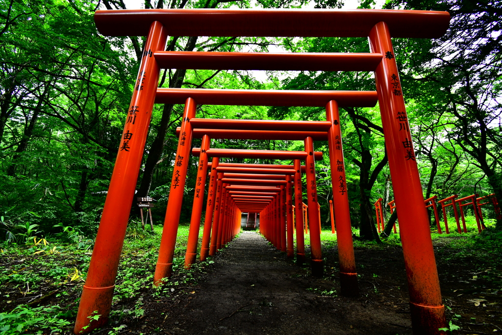 杜の朱鳥居