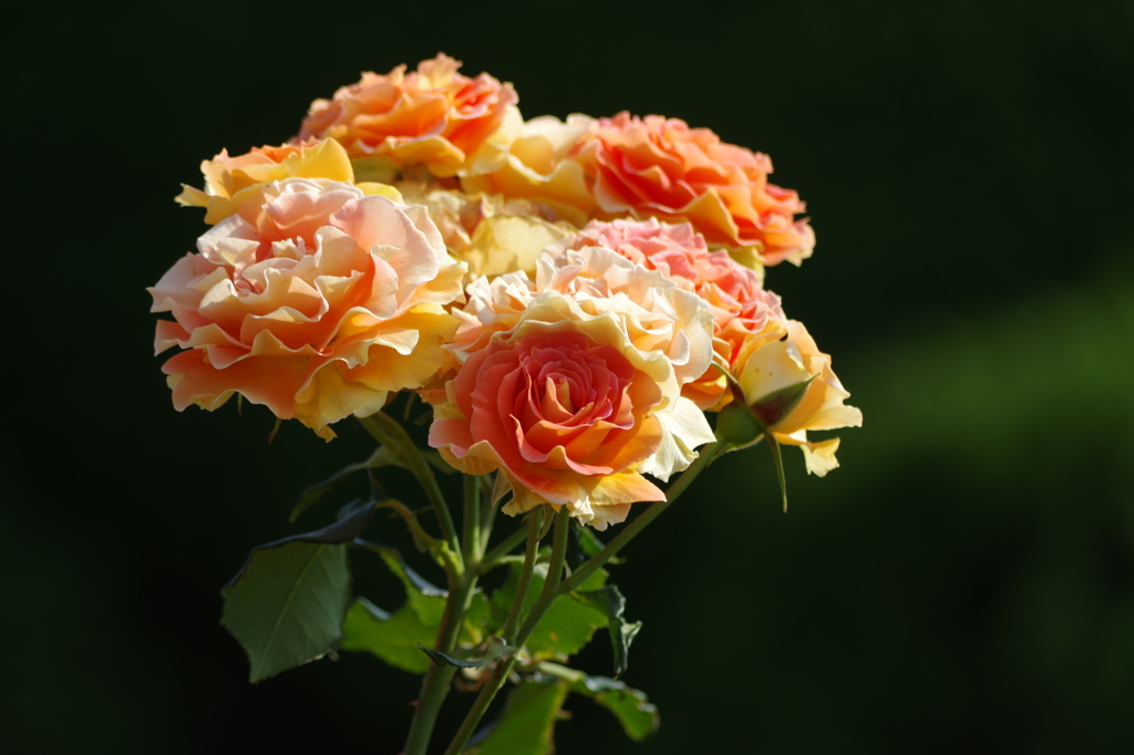 愛を込めて花束を