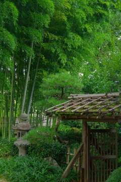 和の魅力･心の原点