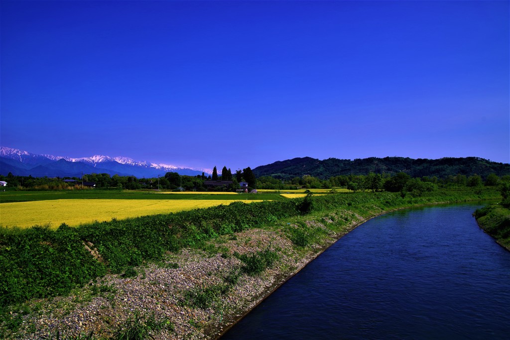 美しき川は流るる